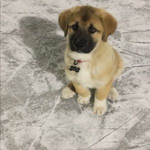 Meet your Posher, Tori